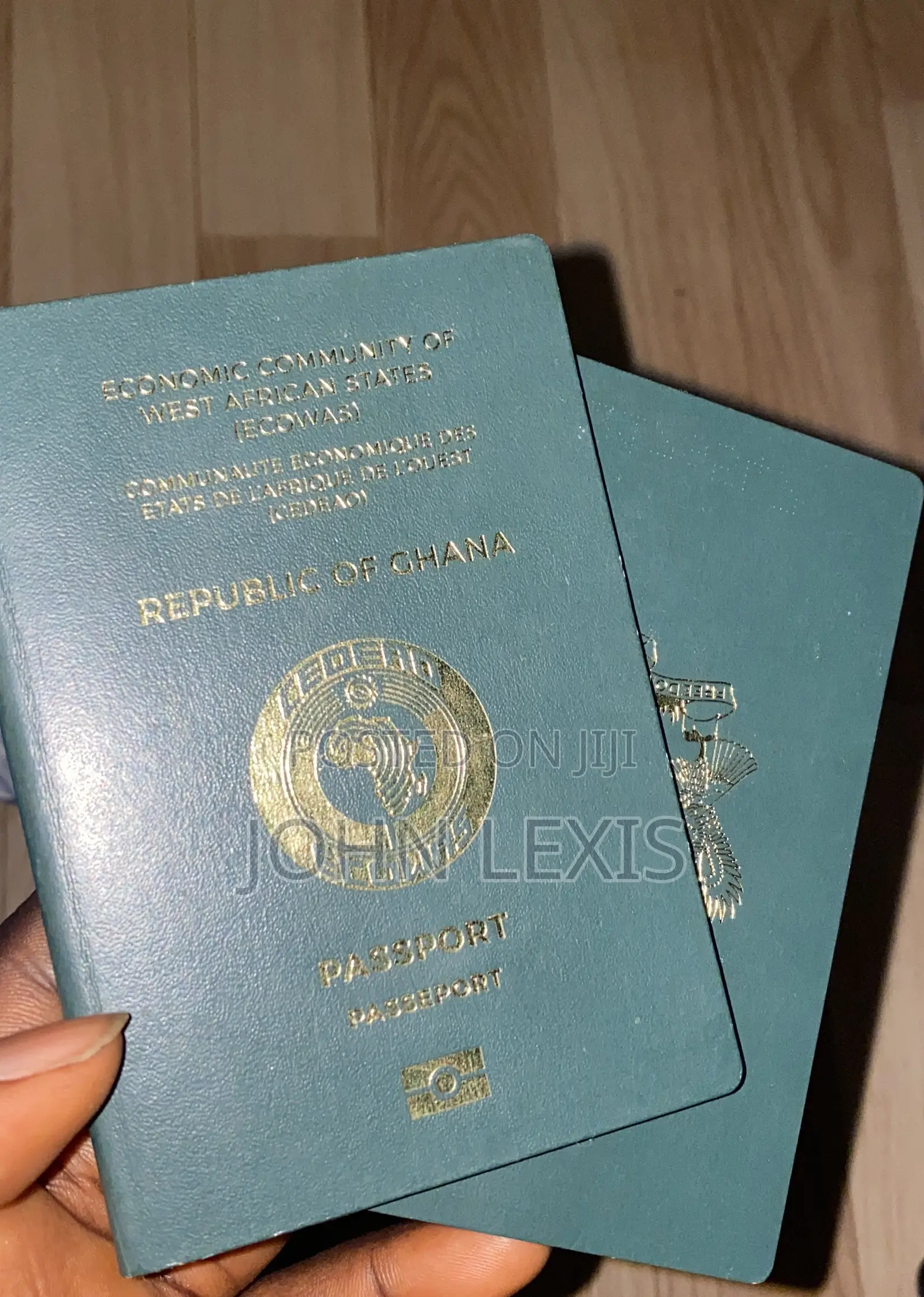 Georgia Tourist Visa