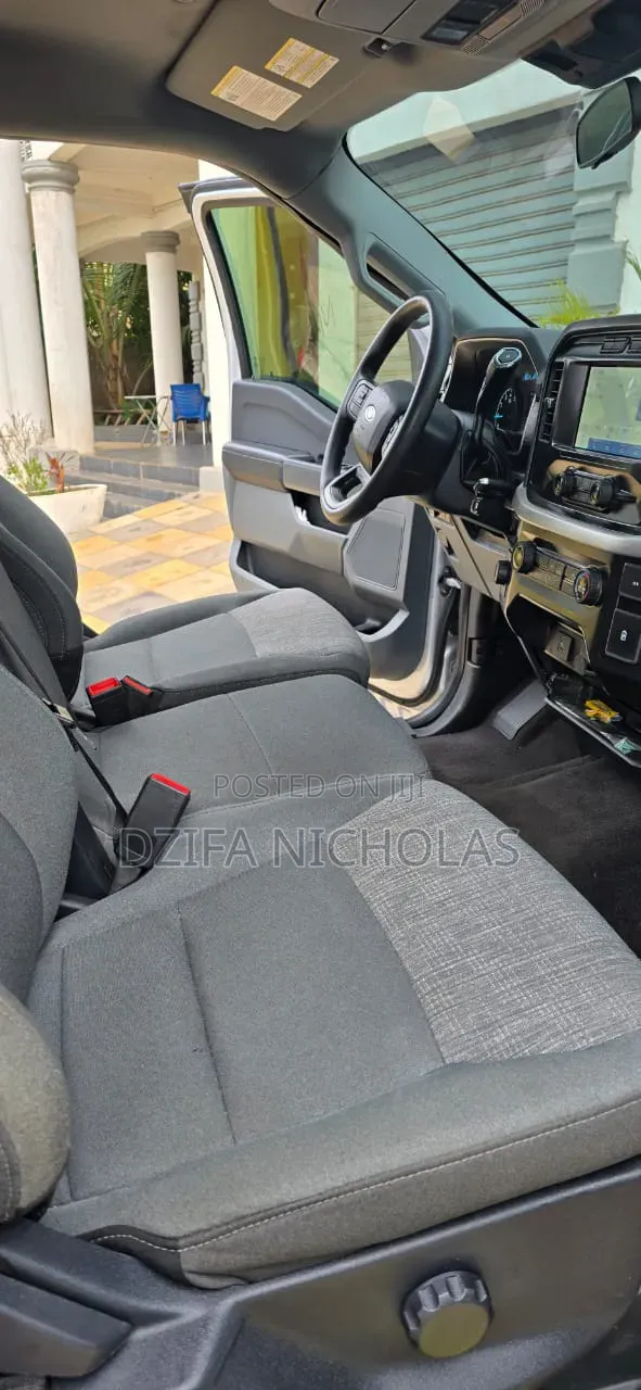 Ford F-150 2022 Silver