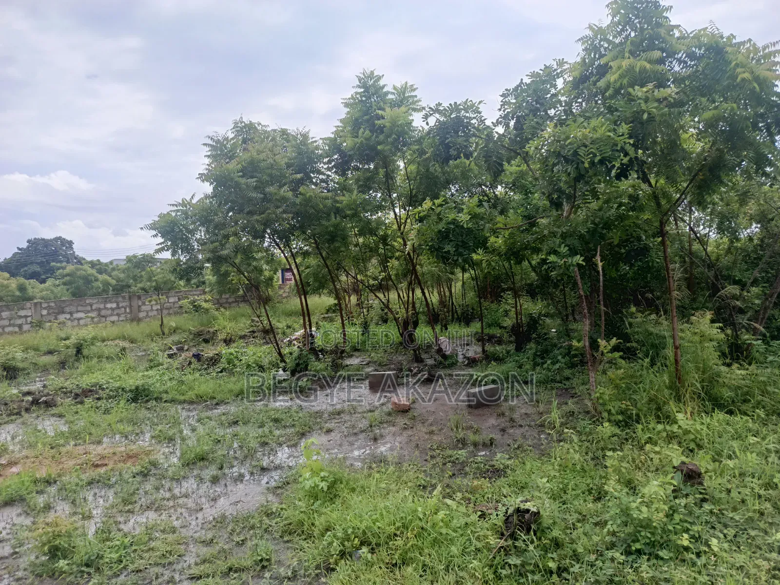 5 Plots of Roadside Land for Sale at Adenta