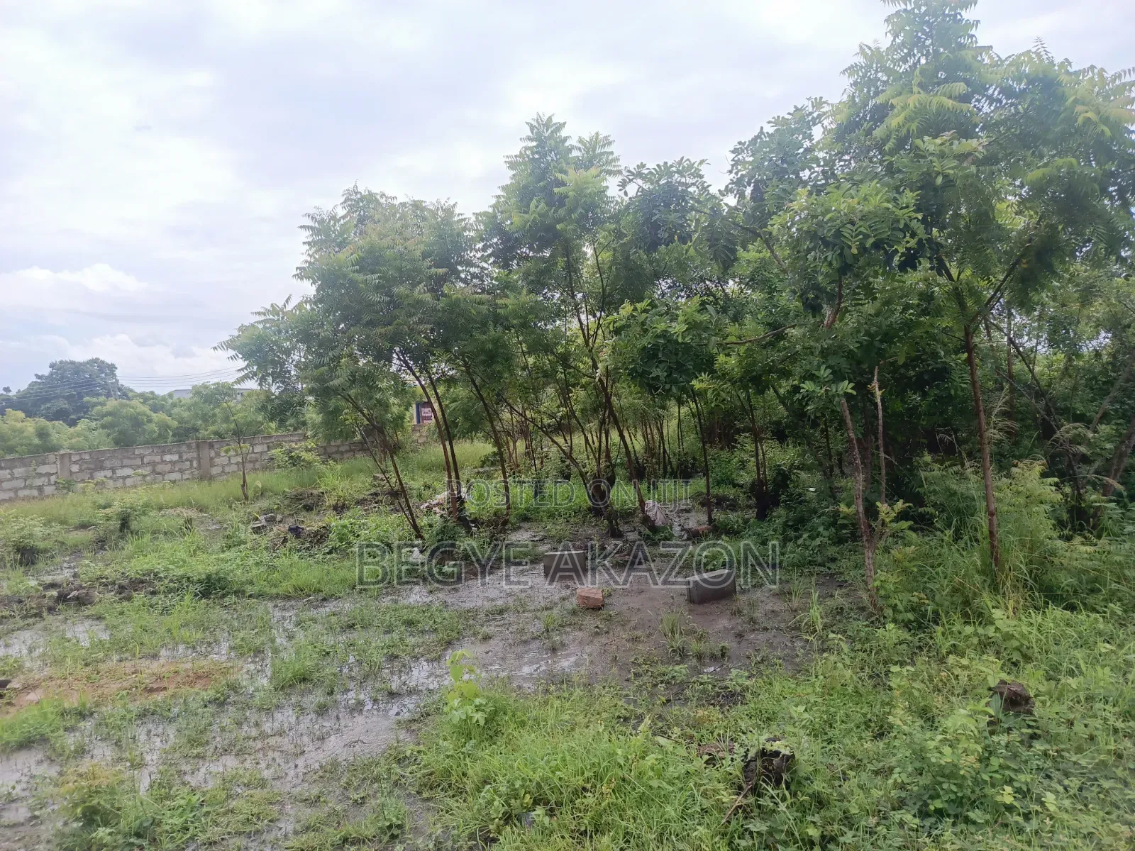5 Plots of Roadside Land for Sale at Adenta