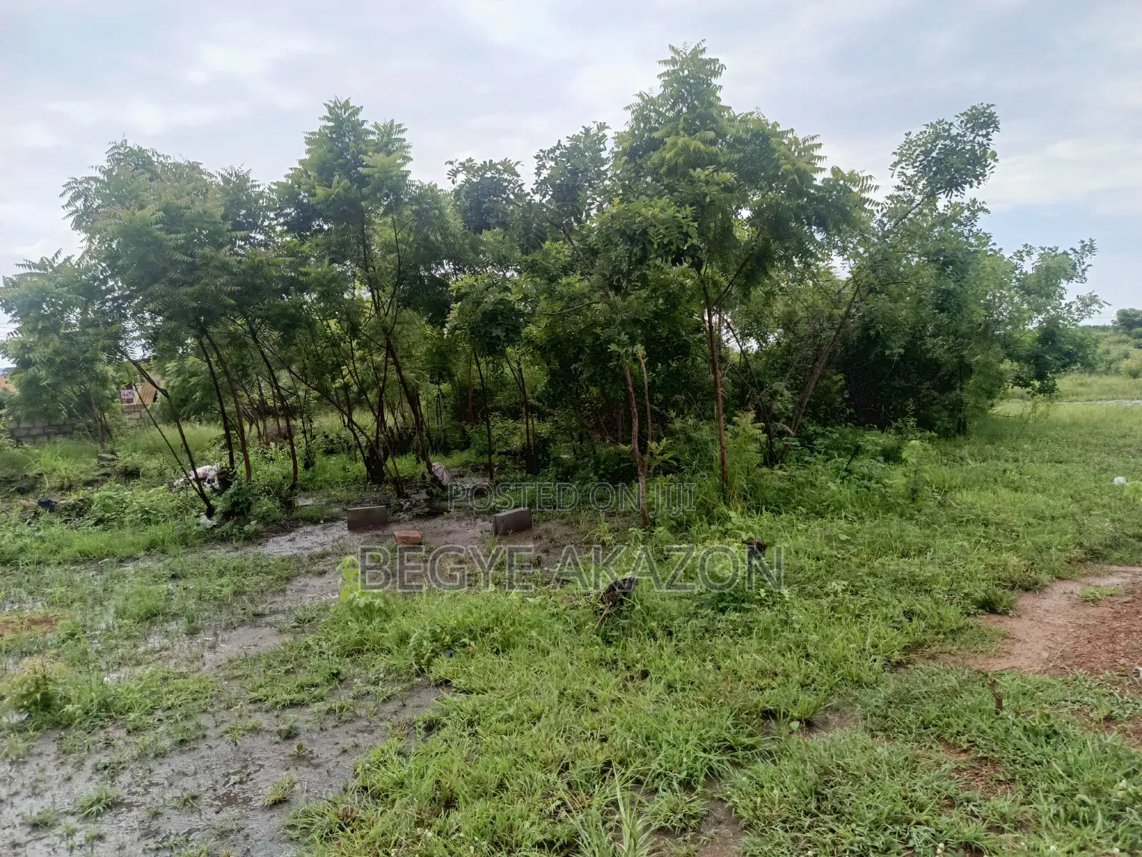 5 Plots of Roadside Land for Sale at Adenta