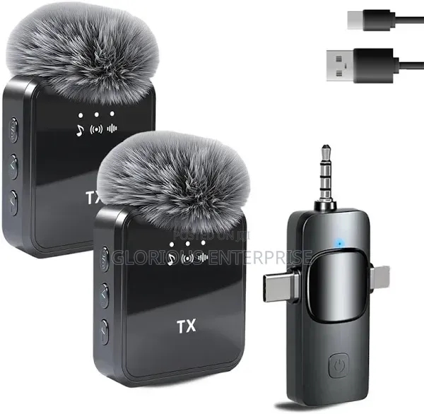 Mini Microphone
