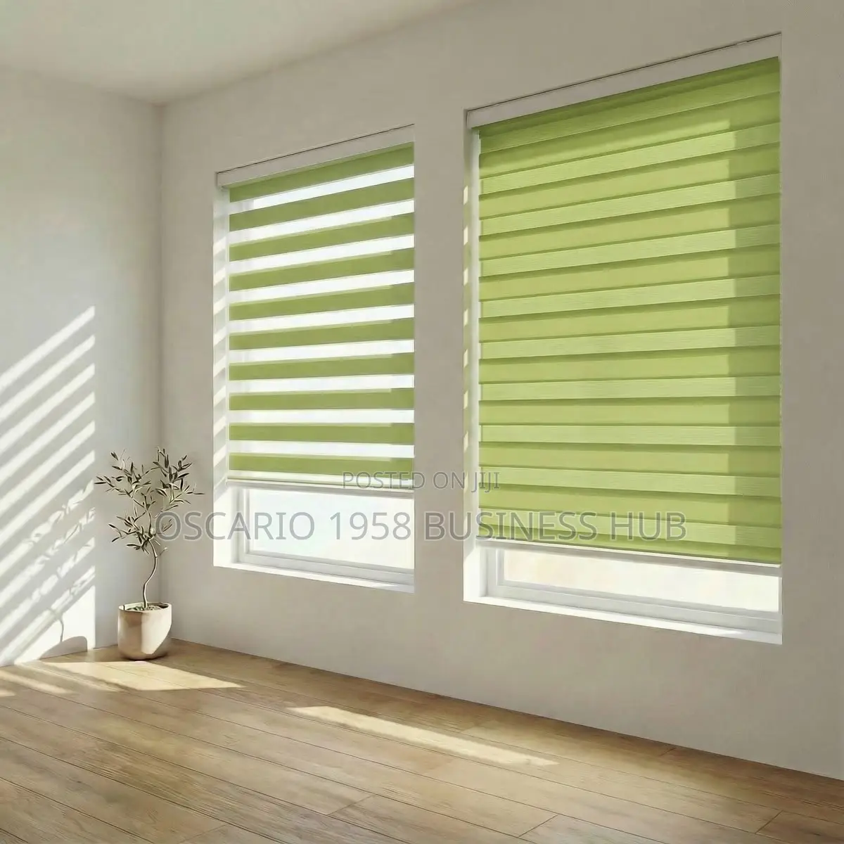 Light Green Window Blinds