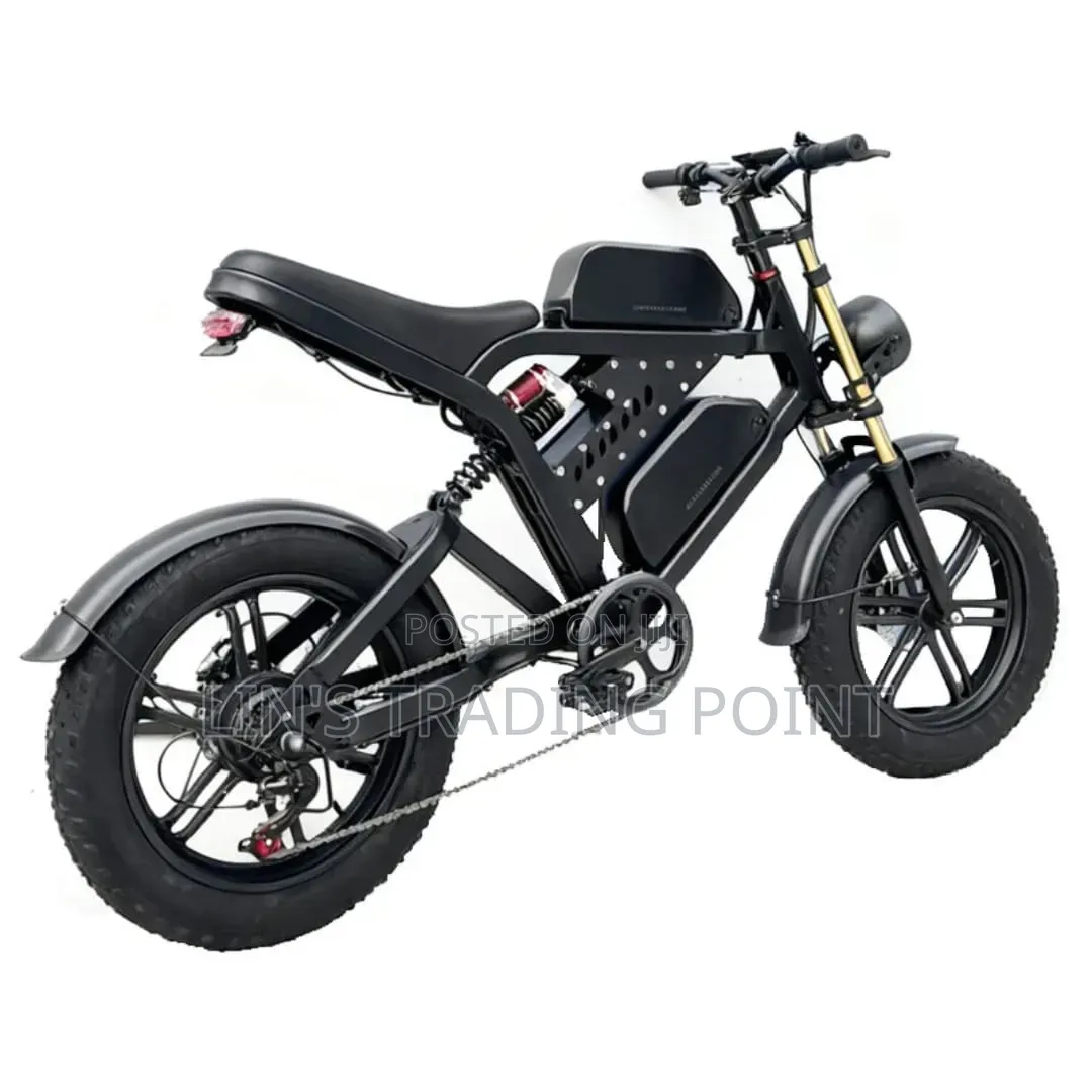 Dual Battery E-Bike for Delivery