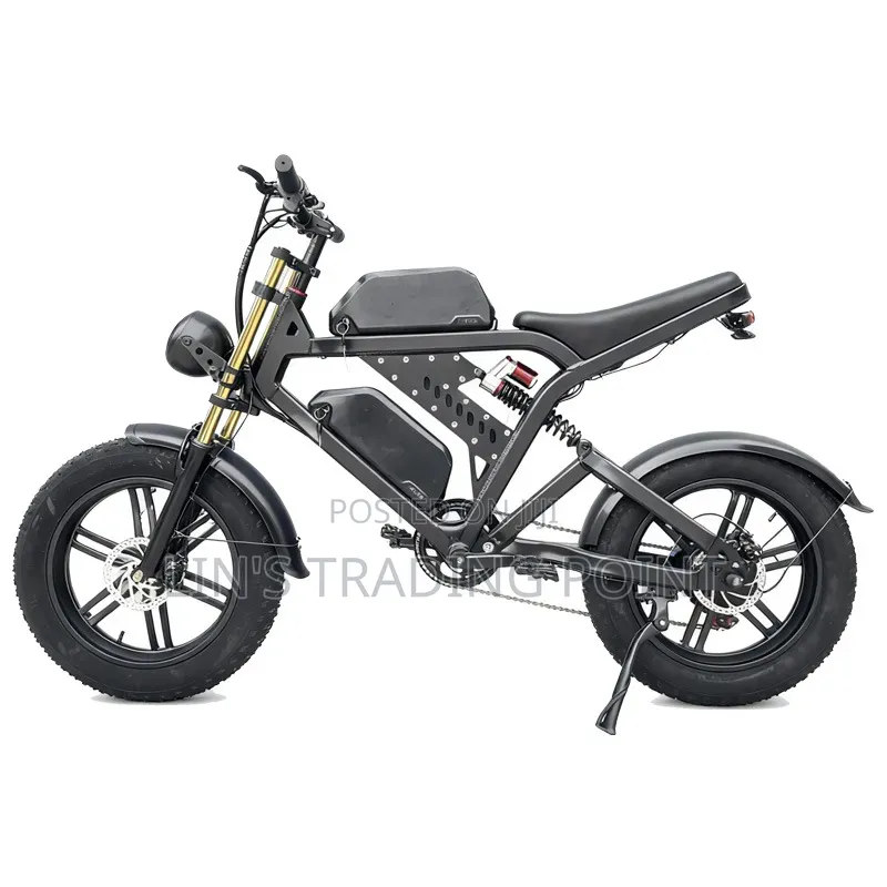 Dual Battery E-Bike for Delivery