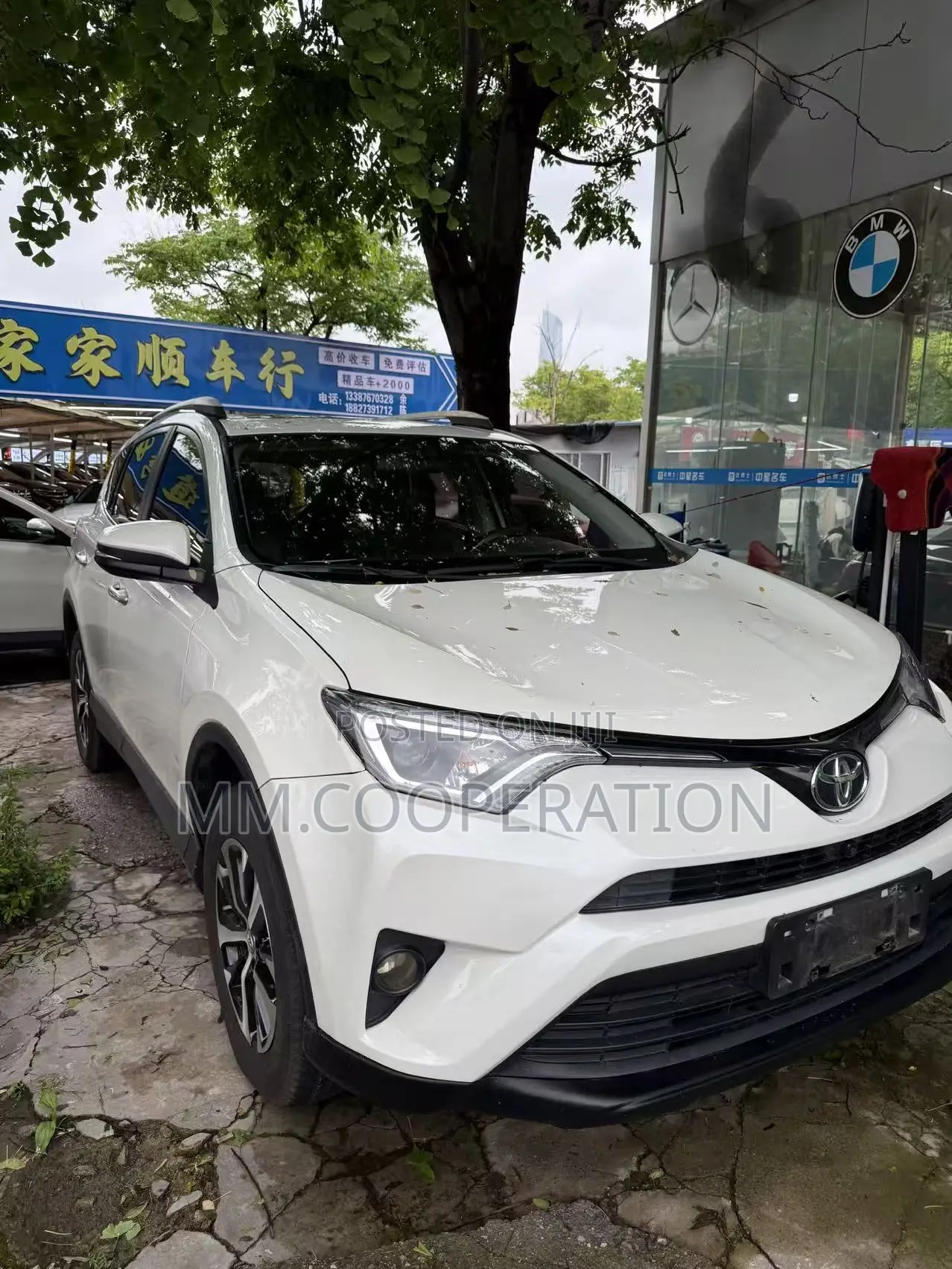 Toyota RAV4 XLE 4dr SUV AWD (2.5L 4cyl 6A) 2018 White