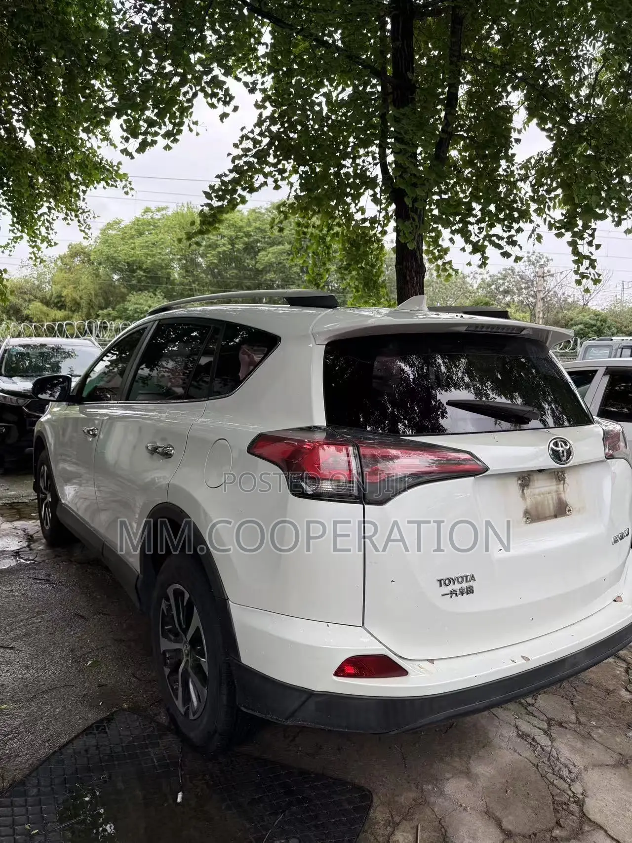 Toyota RAV4 XLE 4dr SUV AWD (2.5L 4cyl 6A) 2018 White