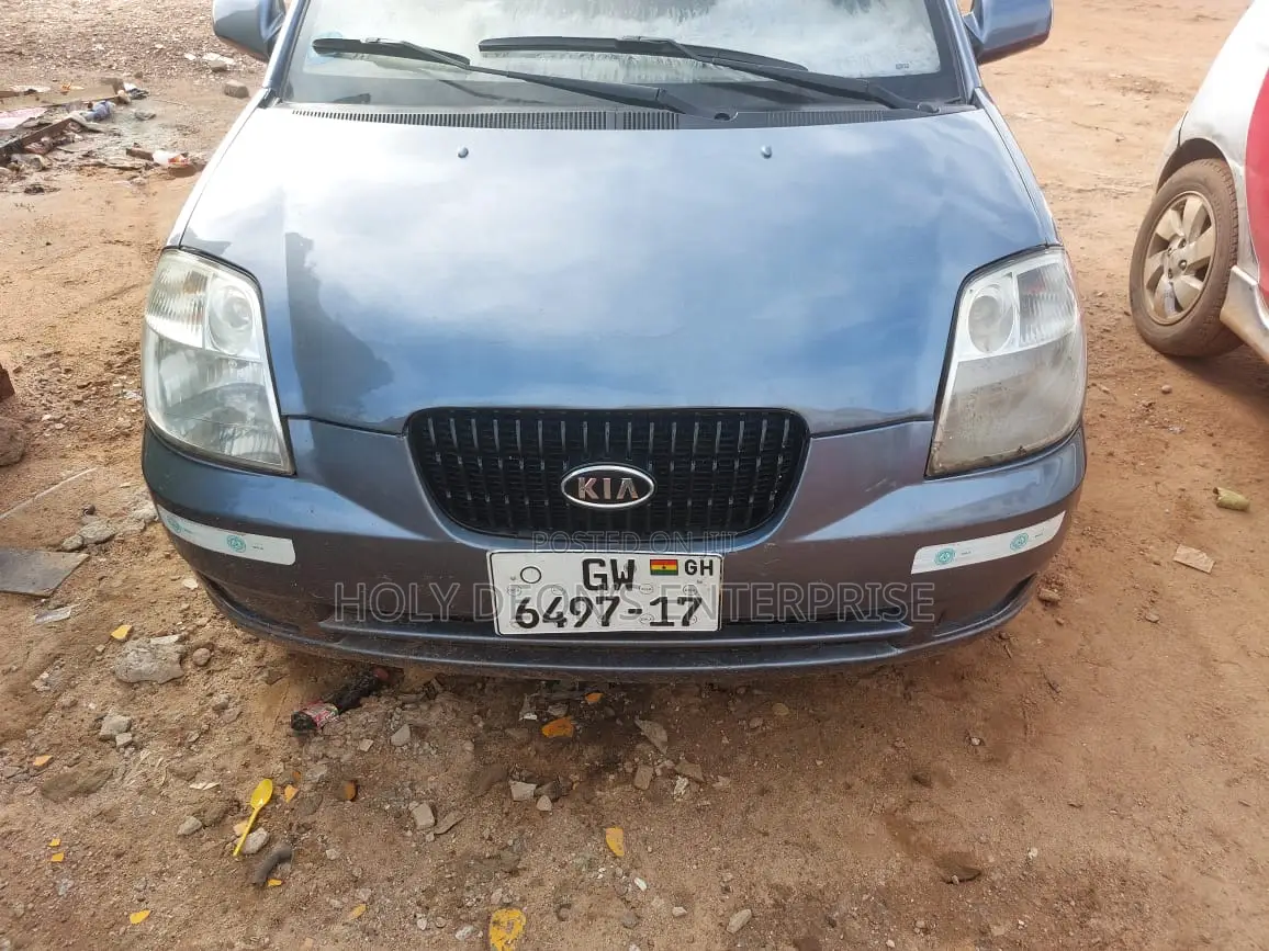 Kia Picanto 2010 Gray