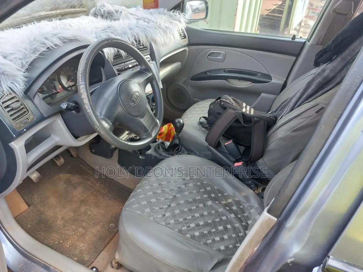Kia Picanto 2010 Gray