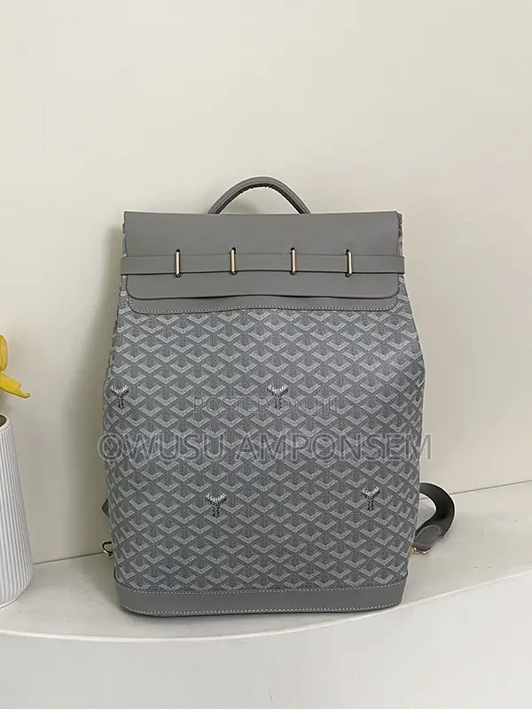 Goyard Backpack