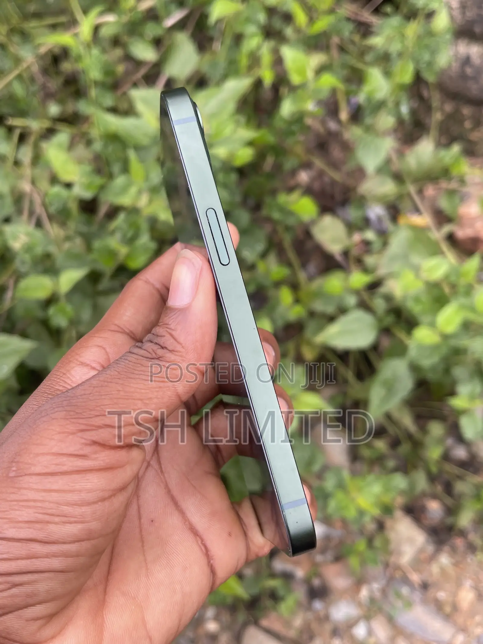 Apple iPhone 13 128 GB Green