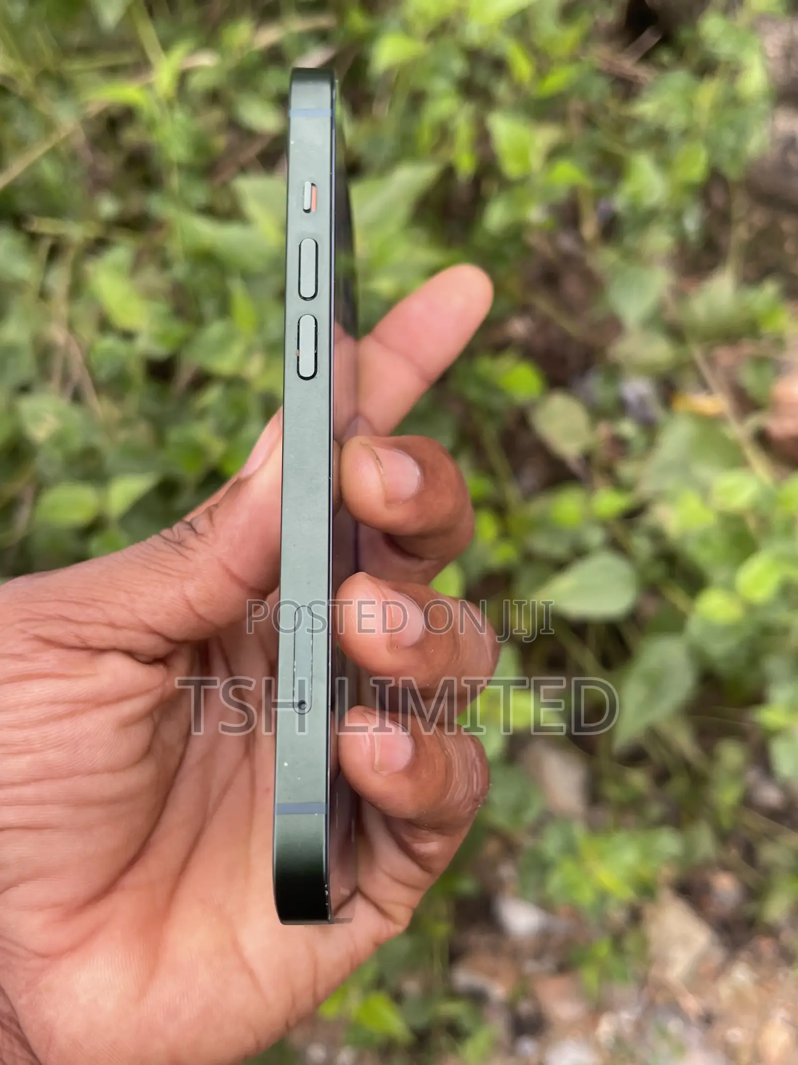 Apple iPhone 13 128 GB Green