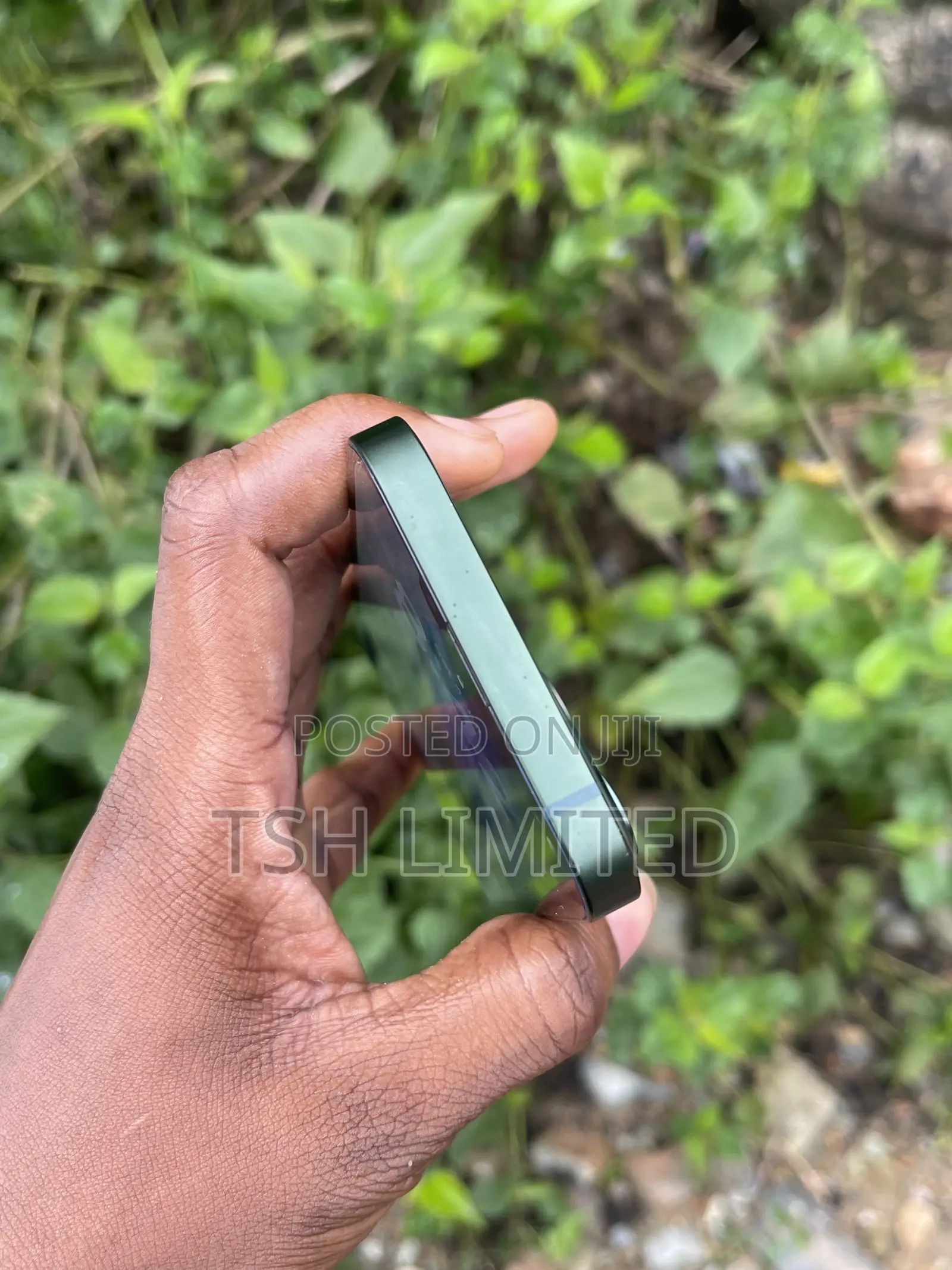 Apple iPhone 13 128 GB Green