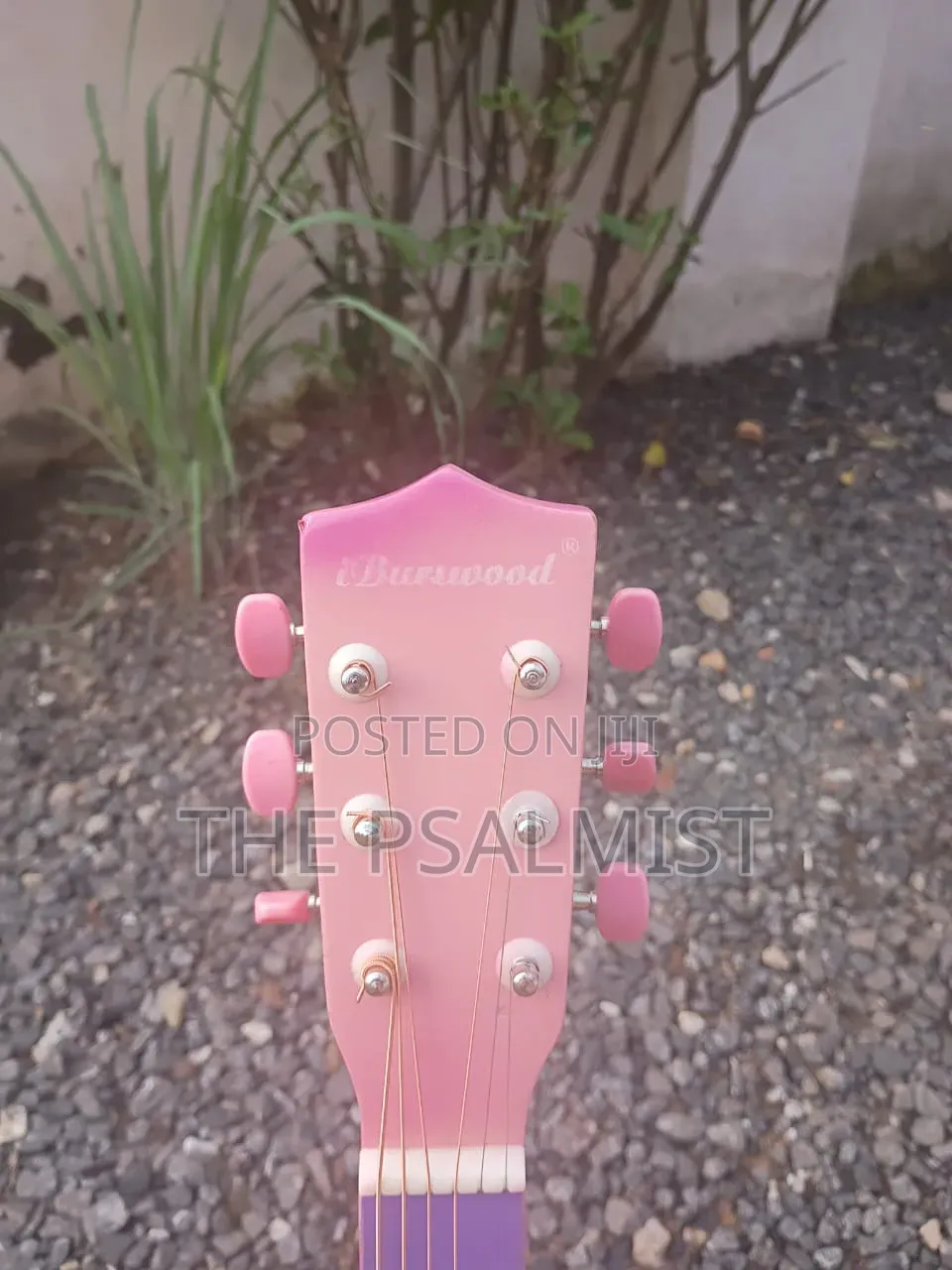 Burswood Jf30p 1/2 Acoustic Guitar