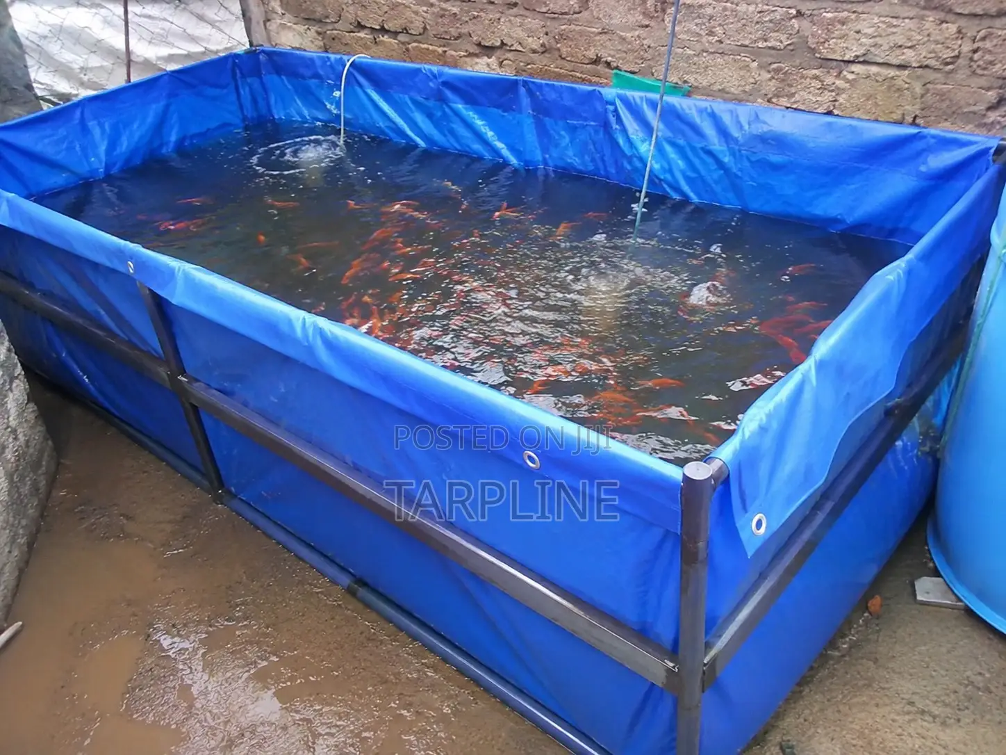 Tarpaulin Fish Tank/ Fish Pond