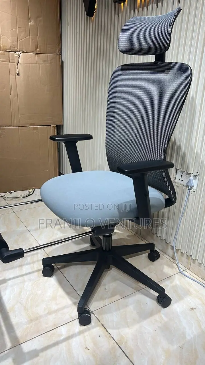 Office Chair With Footrest, Adjustable Arm