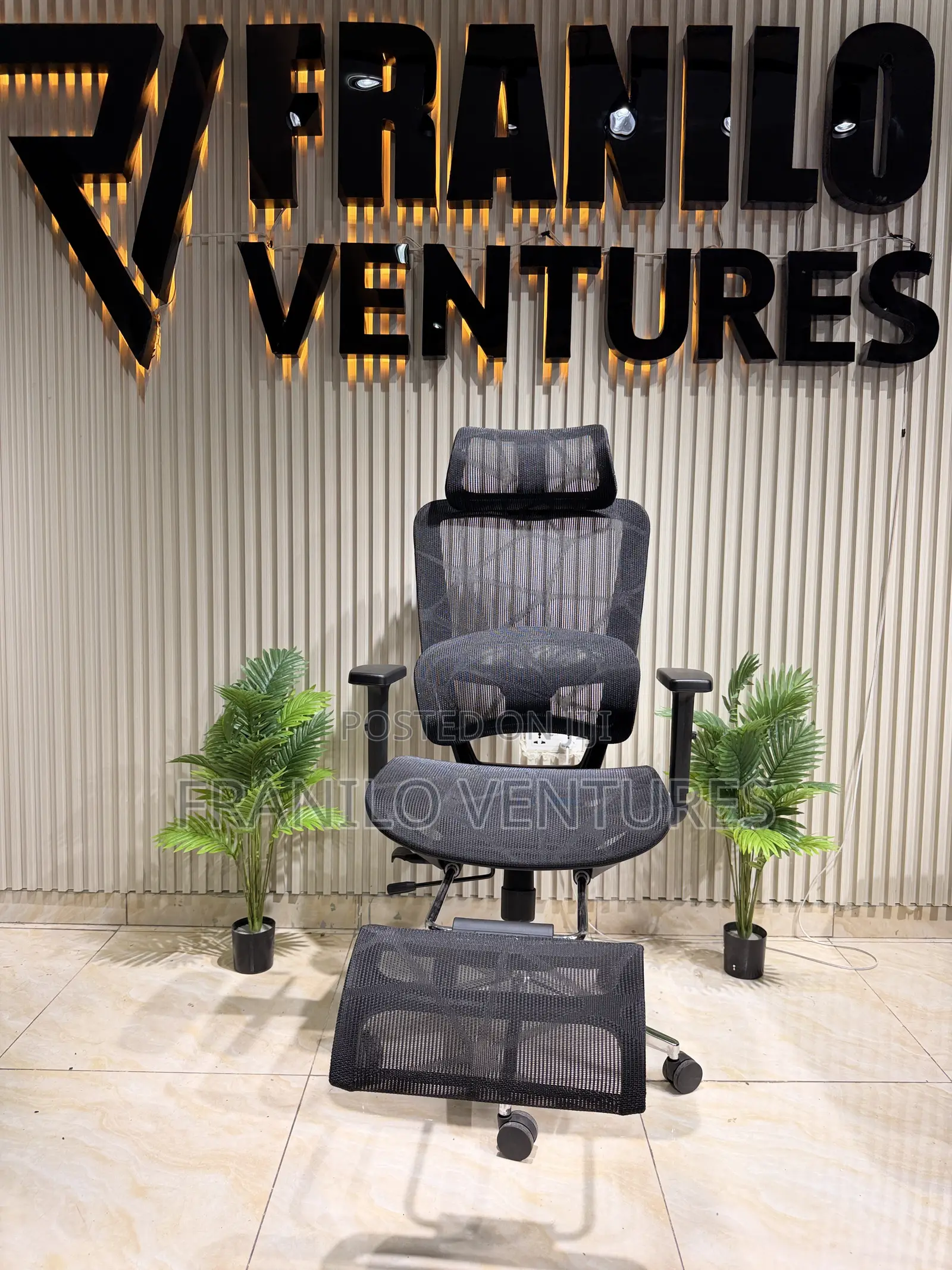Executive Ergonomic Office Chair