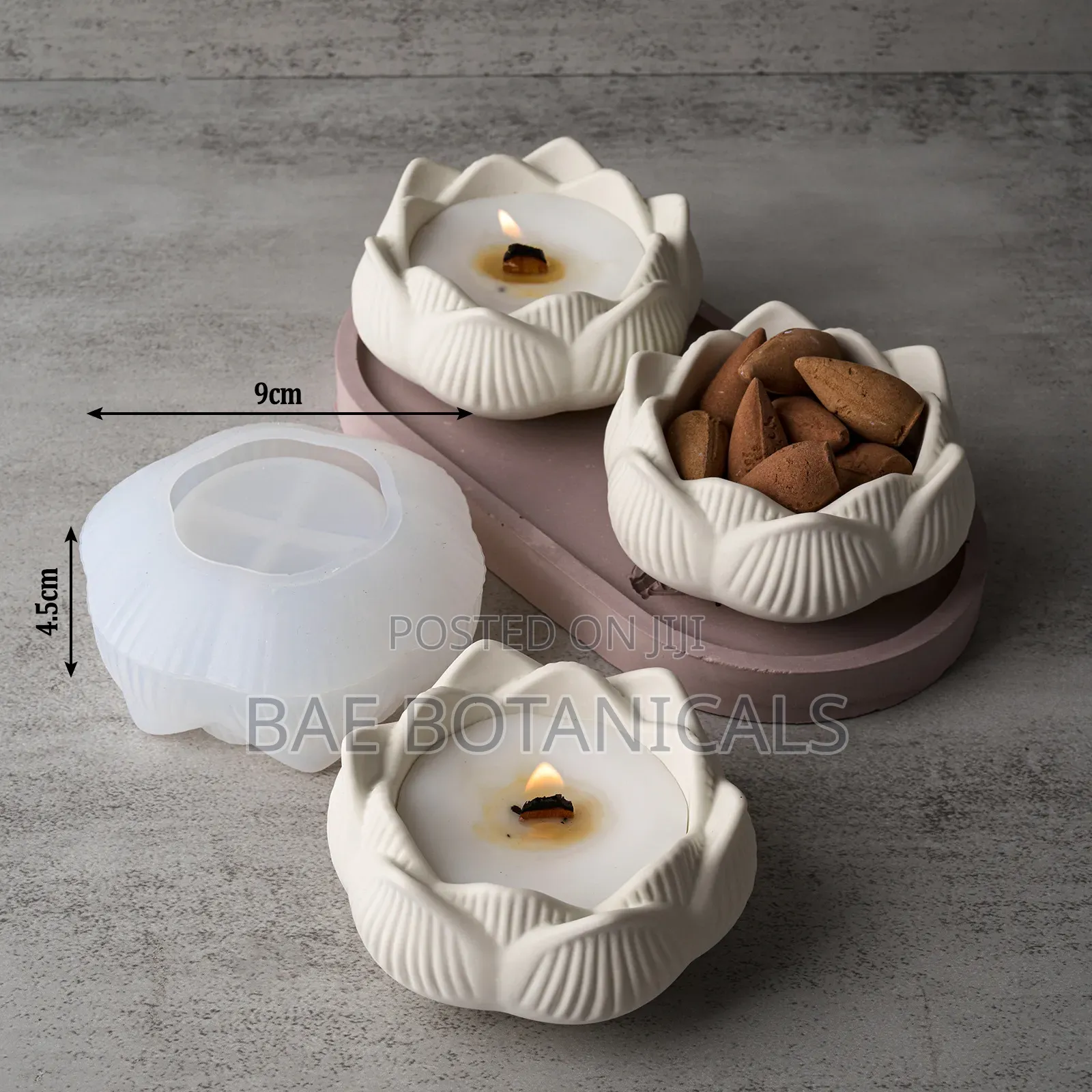 Open Flower Gypsum Jar Mold