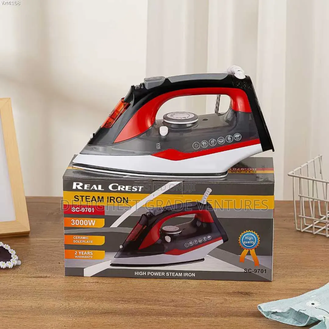 Steam Iron 3000w