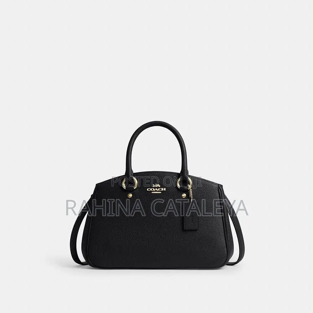 Coach Stylish Bag
