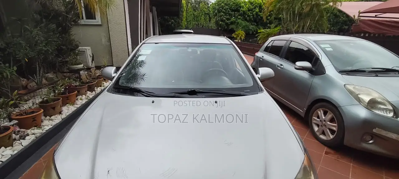 Hyundai Elantra 2009 Silver