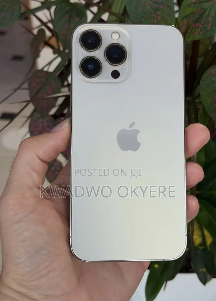Apple iPhone 13 Pro Max 256 GB Gold