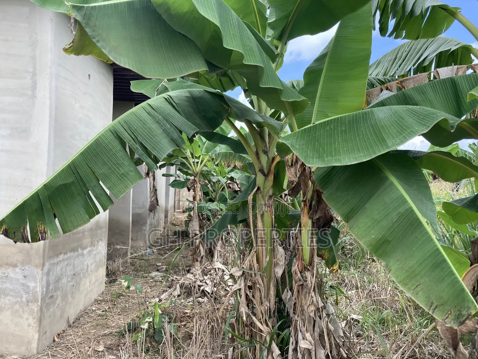 One Plot for Sale at Trede Konkoli.