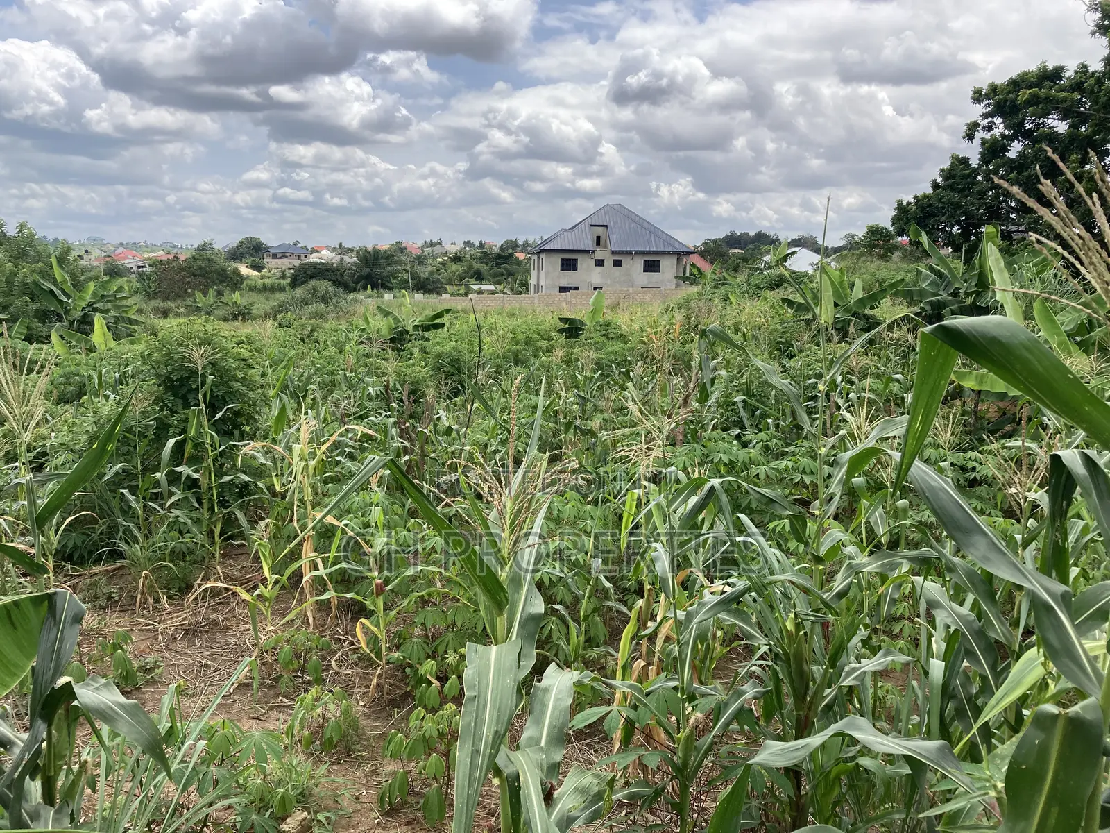 1 Plot for Sale at Trade Konkoli.2 Minutes Walk to Main Road.