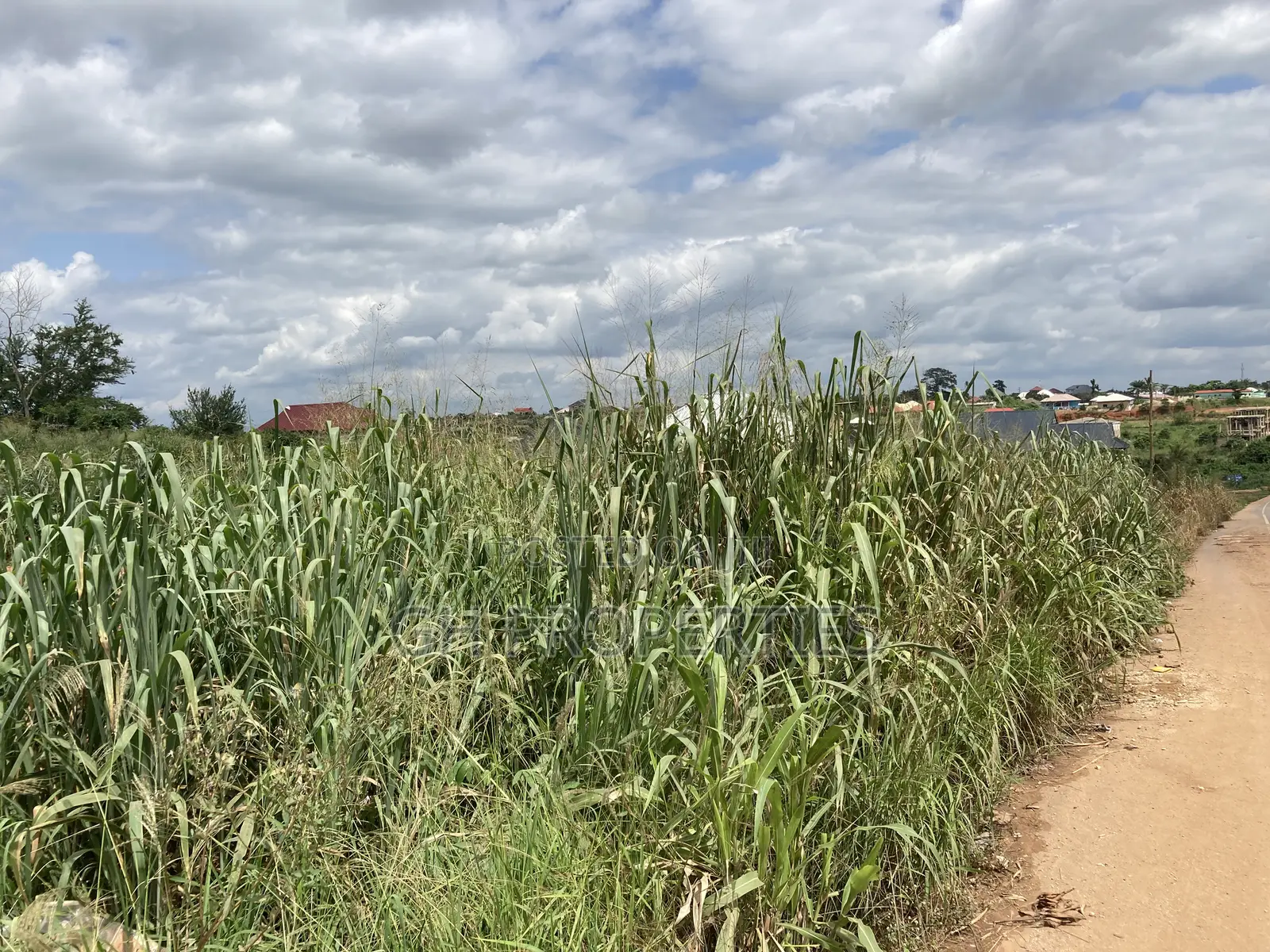 One Plot for Sale at Kwanwoma Duropem Main Road.