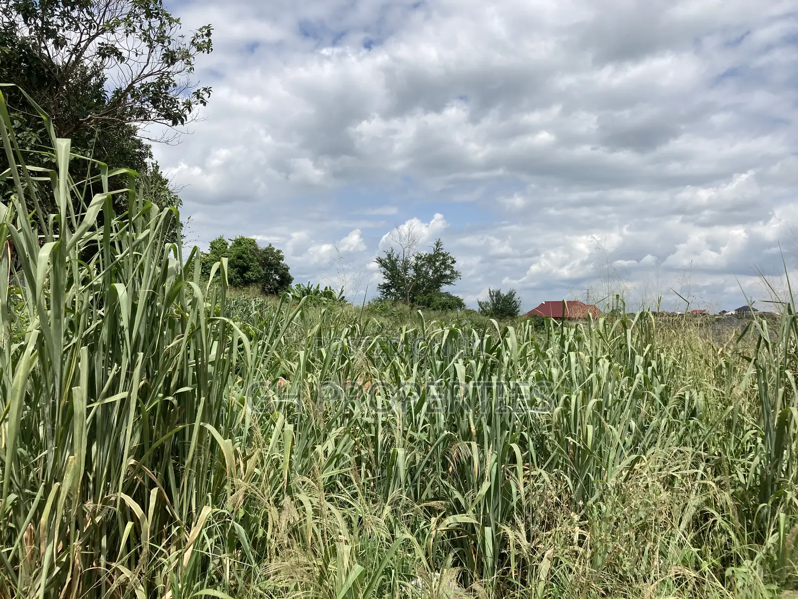 One Plot for Sale at Kwanwoma Duropem Main Road.