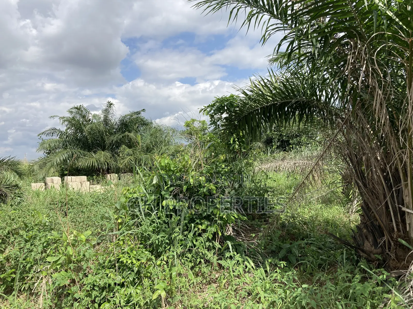 Half Plot for Sale at Sokoban, Ampaame Hills