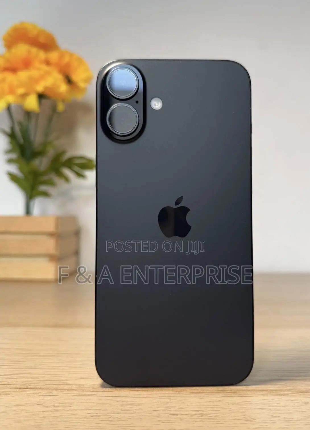 iPhone 16 Plus Display Screen