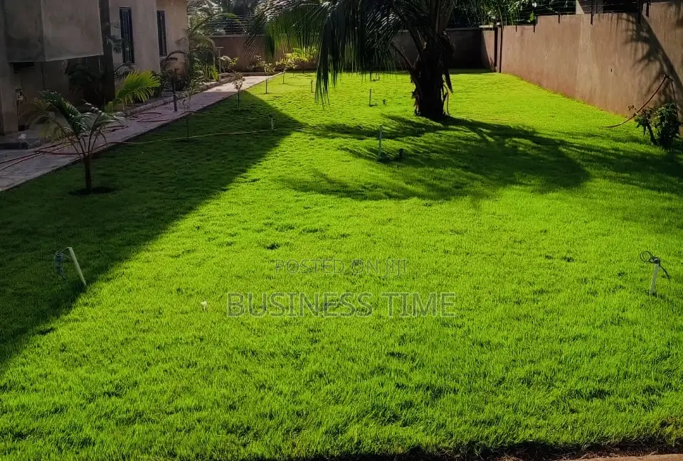 Garden and Landscaping
