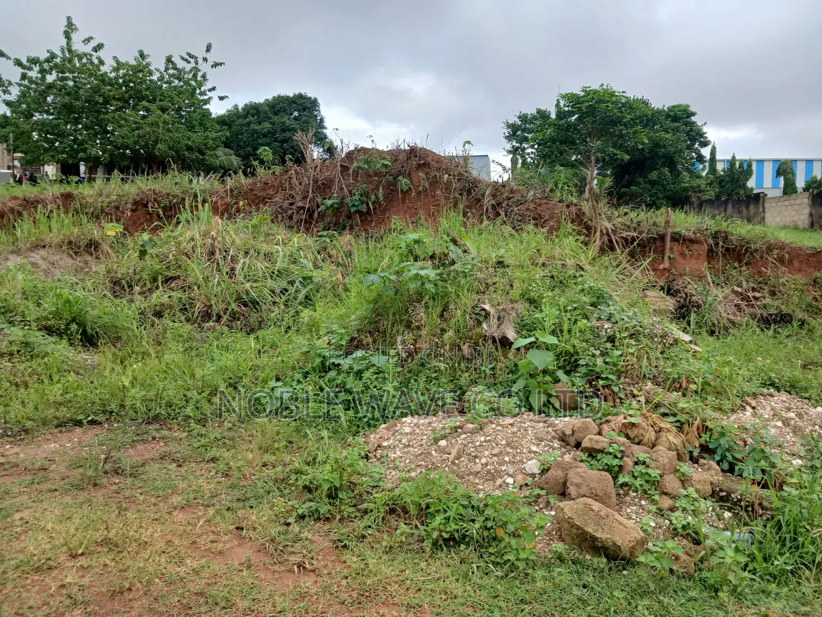 Plot of Land for Rent at Daban