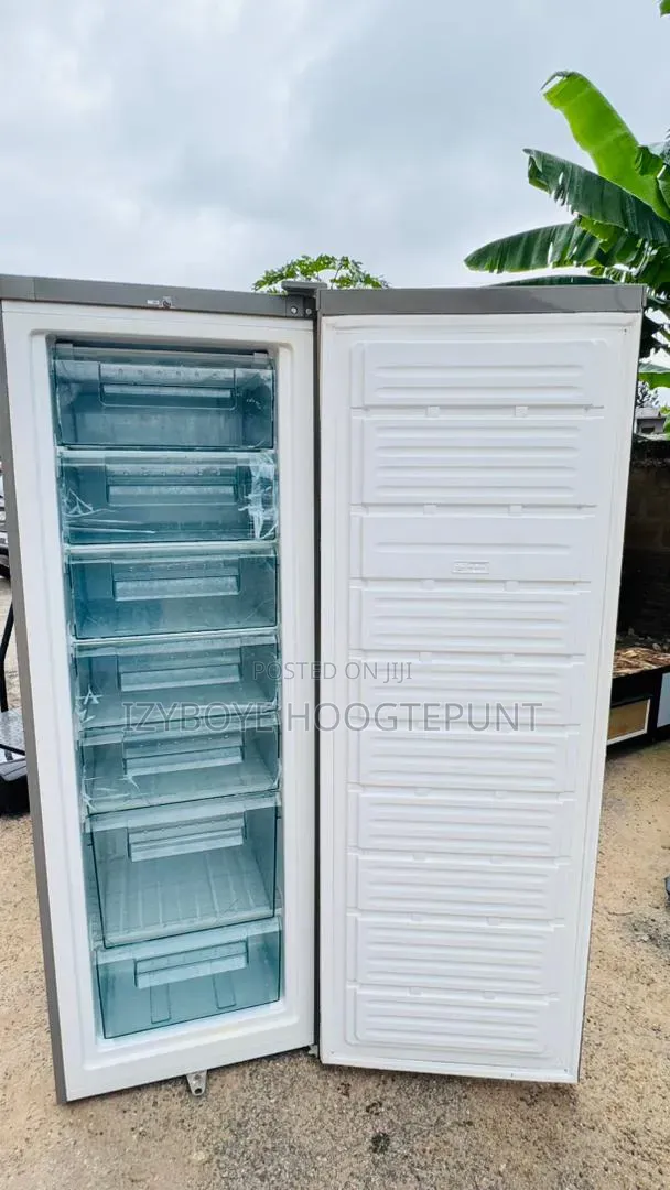 Standing Freezer