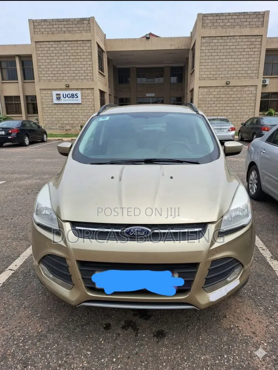 Ford Escape SE 4dr SUV (1.6L 4cyl Turbo 6A) 2014 Gold