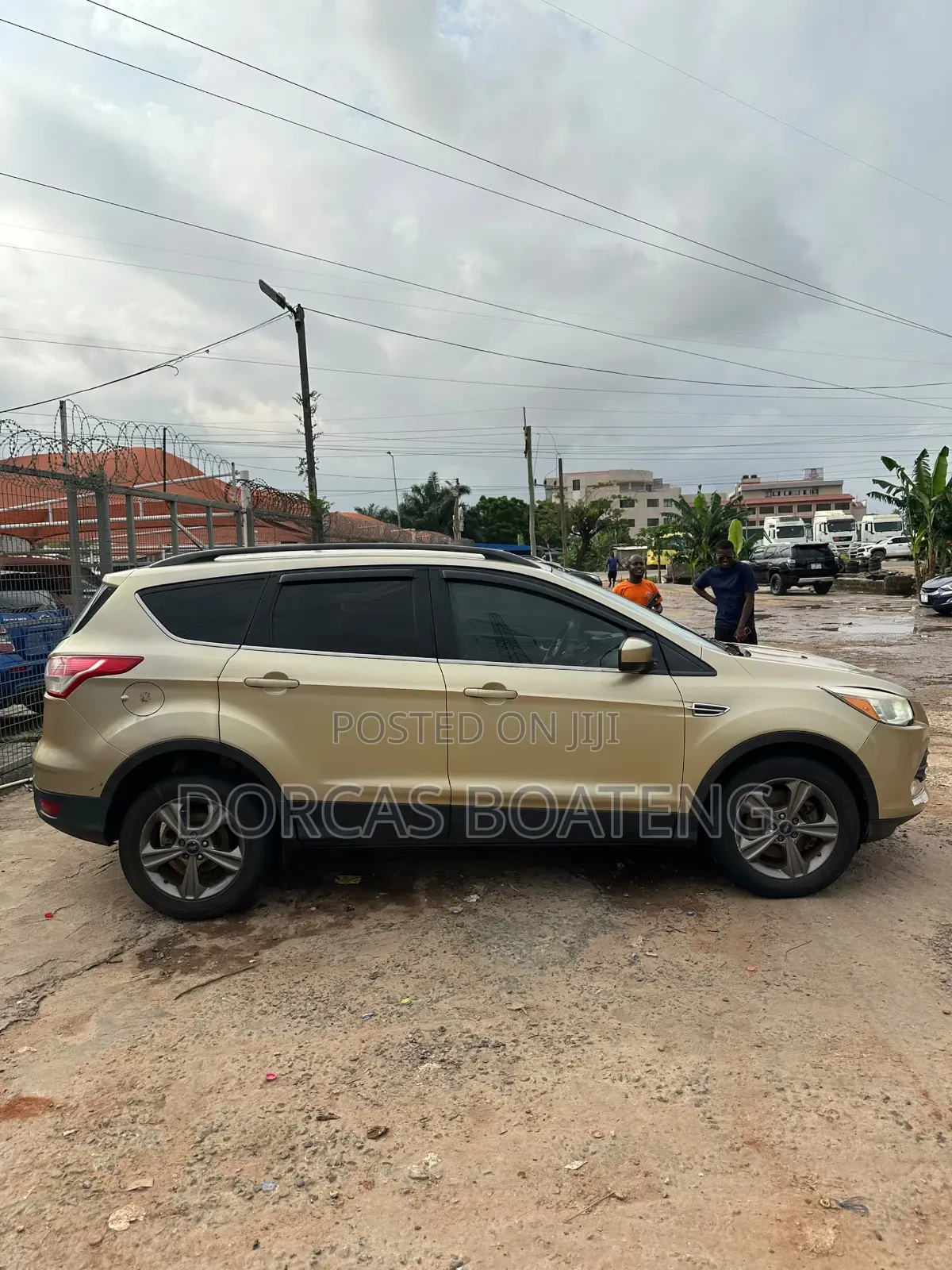Ford Escape SE 4dr SUV (1.6L 4cyl Turbo 6A) 2014 Gold