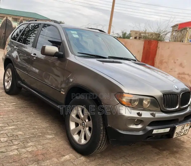 BMW X5 3.0i Sports Activity 2006 Gray