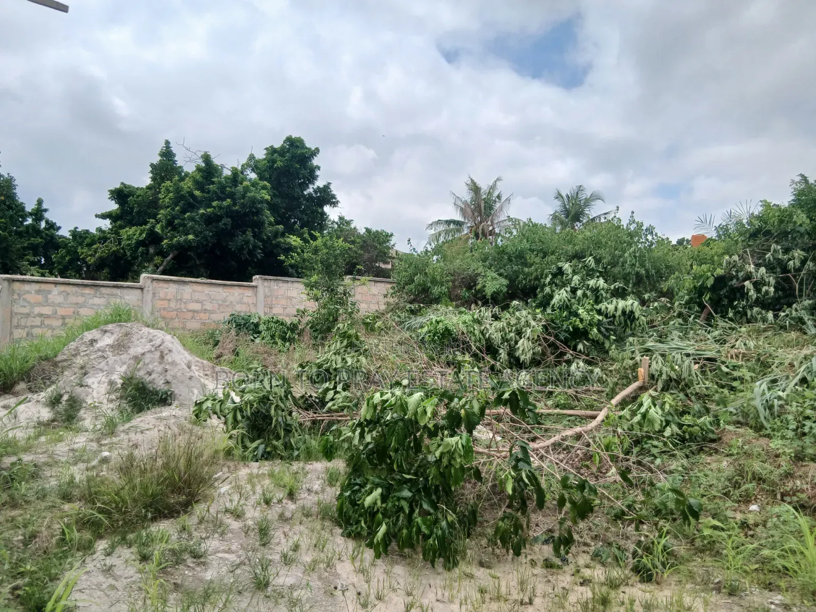 Adarko Jachie Full Plot of Land