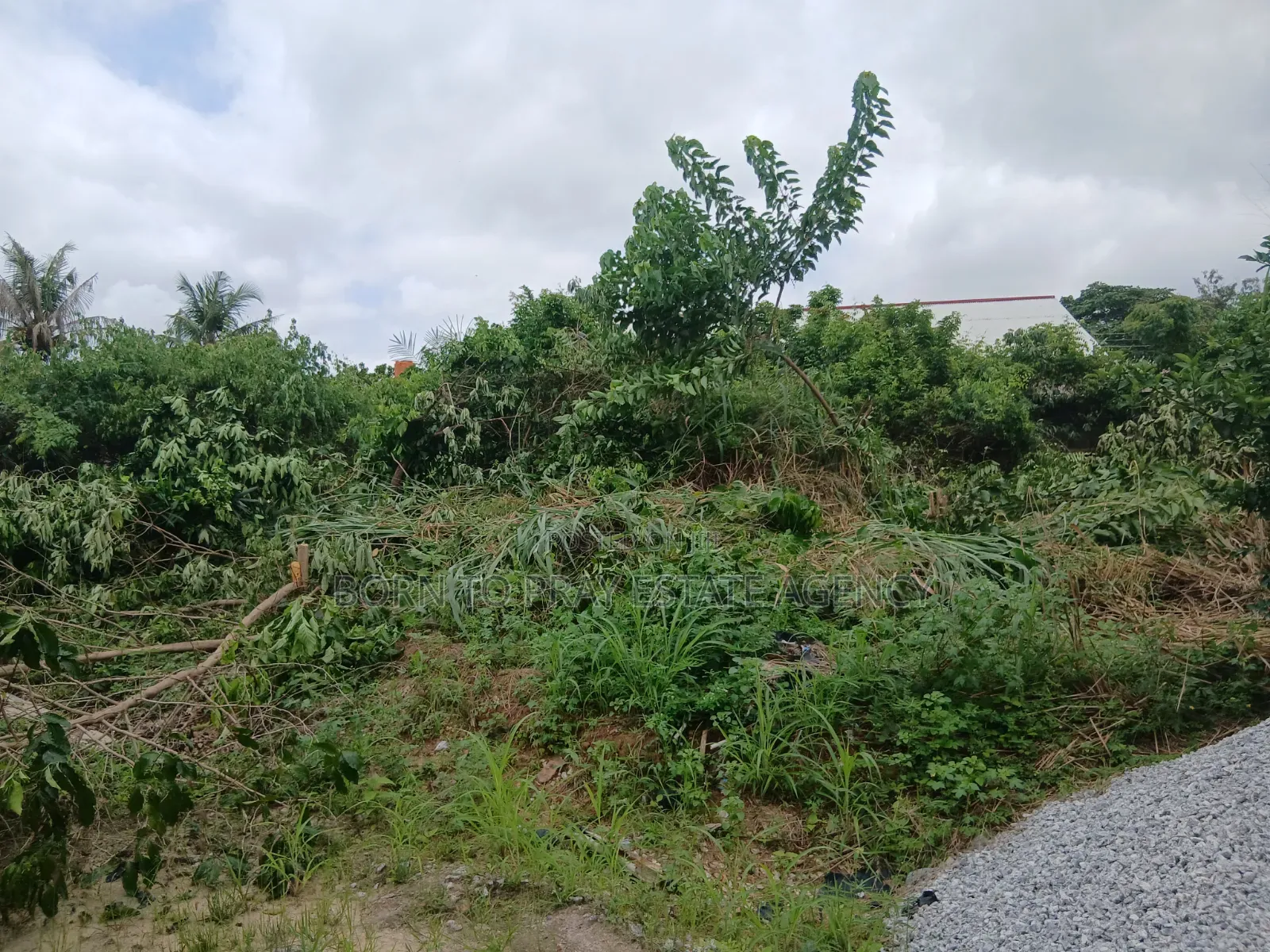 Adarko Jachie Full Plot of Land