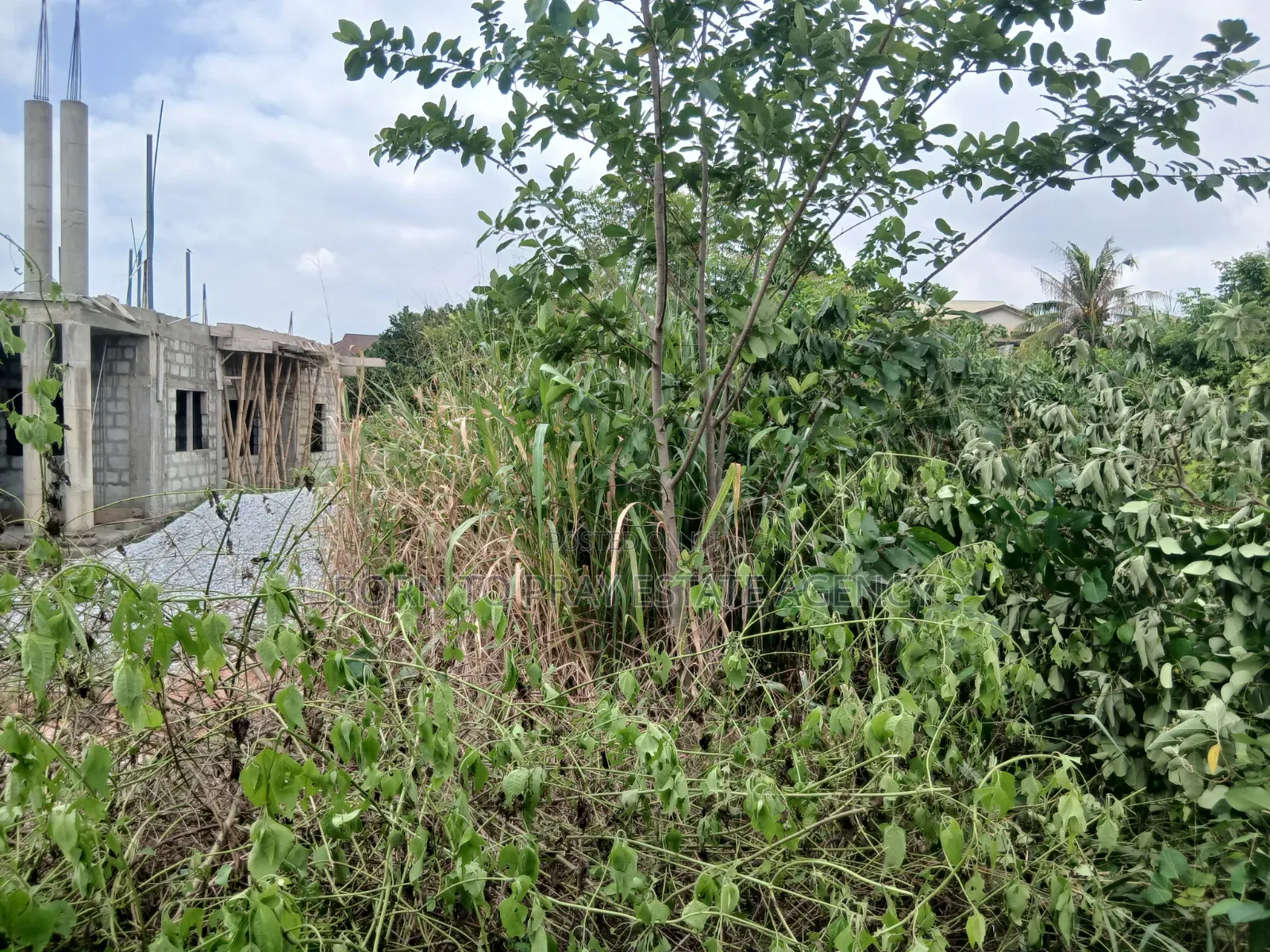 Adarko Jachie Full Plot of Land