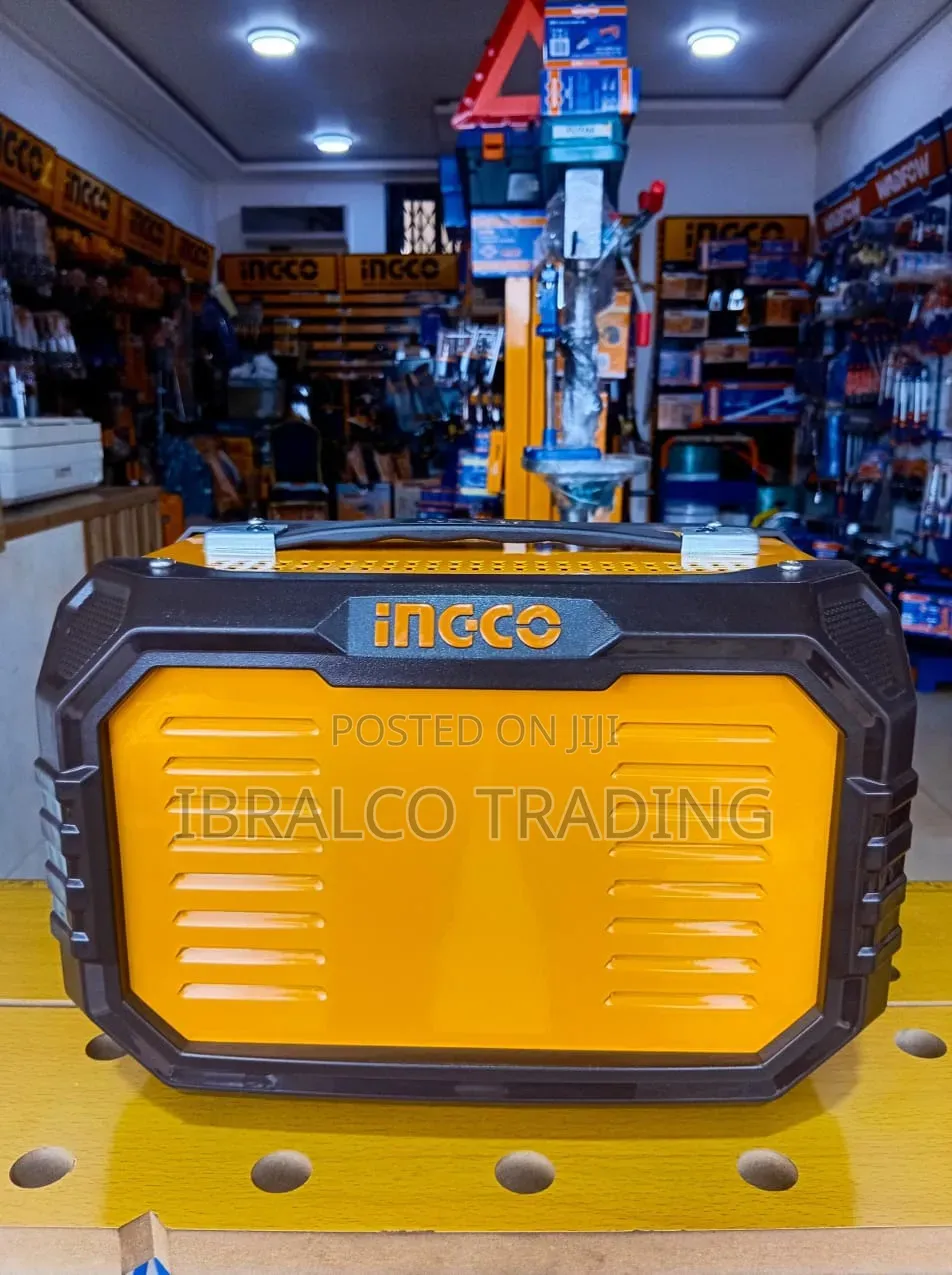 Ingco Battery Charger