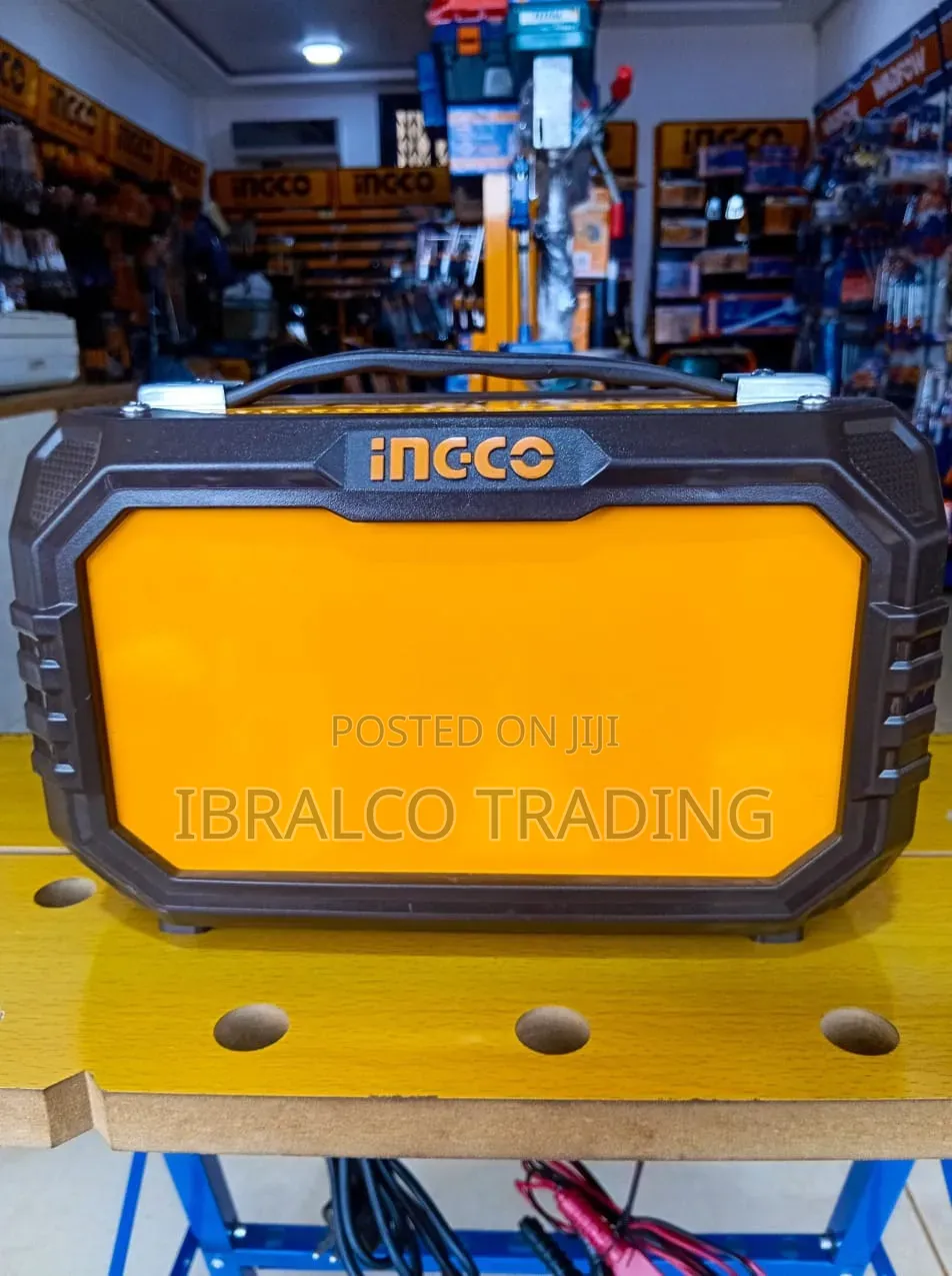 Ingco Battery Charger