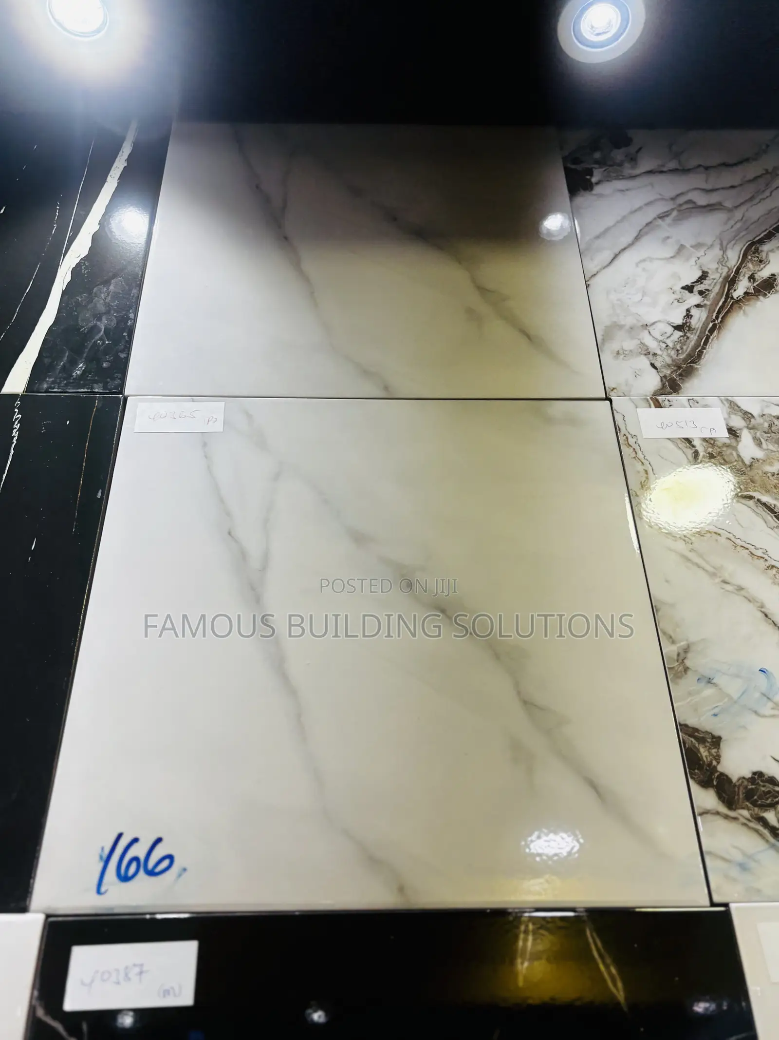 40/40 Polished Tile