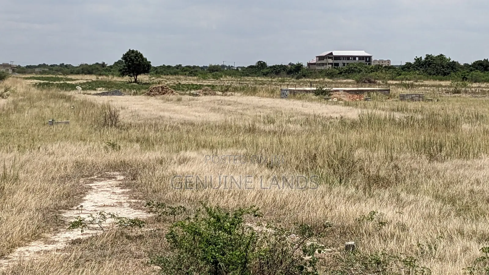 Own Your Dream Land in Tsopoli Today!