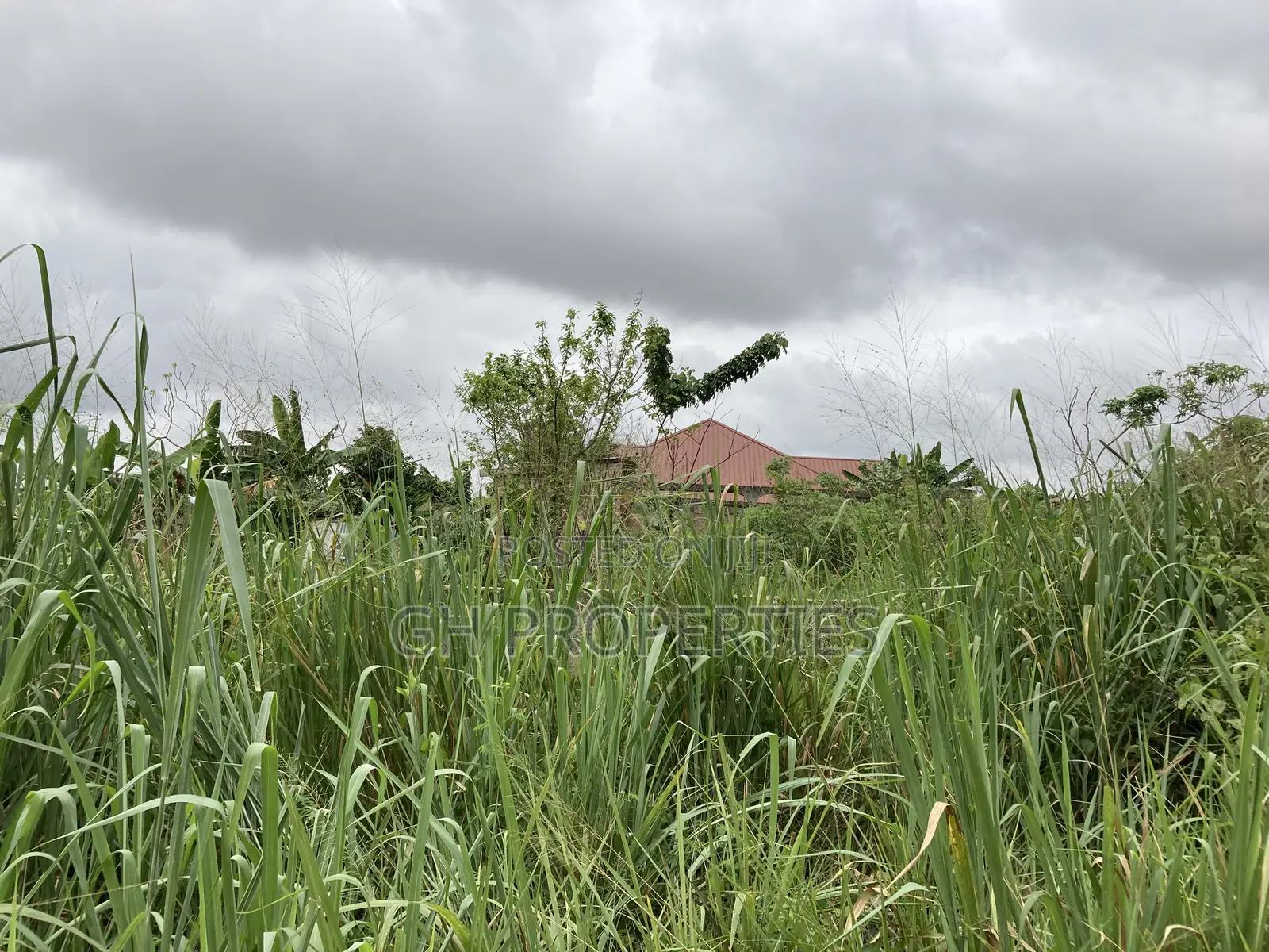 One Plot for Sale at Daban Cindy’S