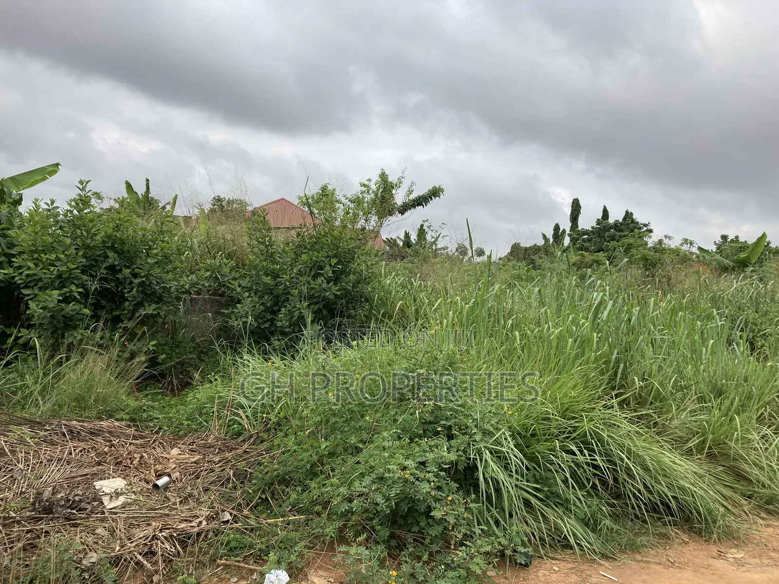 One Plot for Sale at Daban Cindy’S