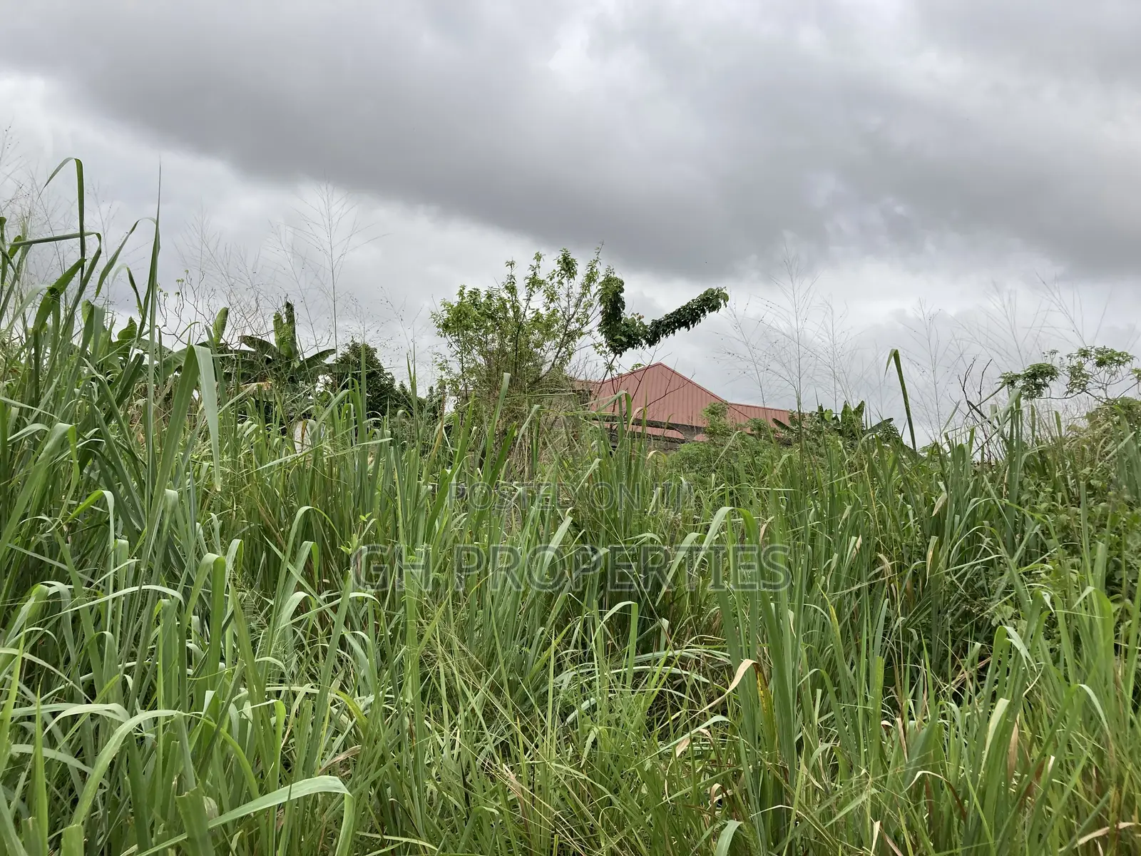 One Plot for Sale at Daban Cindy’S