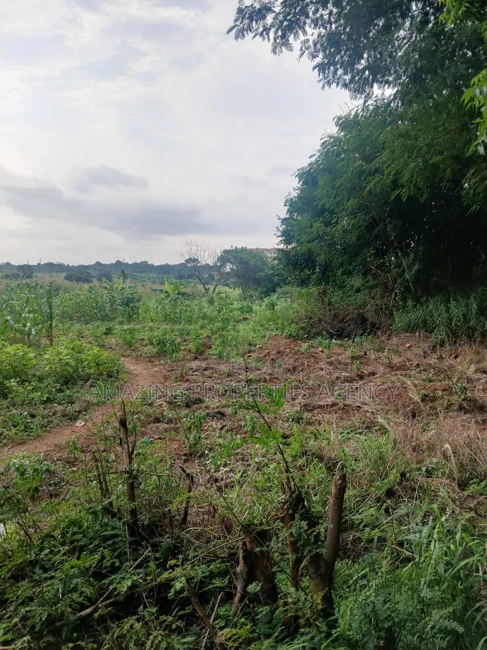 100 Acres Prime in Legon
• Minutes From University of Ghana, Upsa