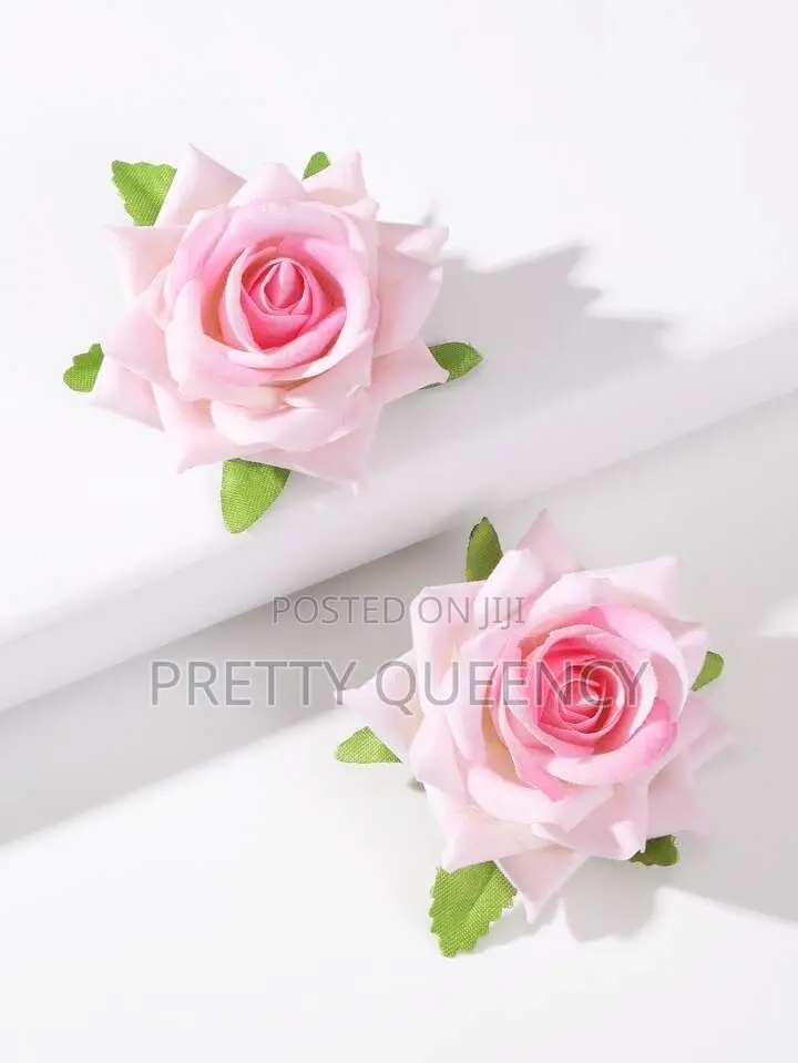 Ladies Earrings